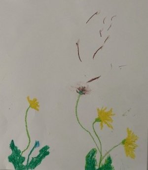 Blumen2