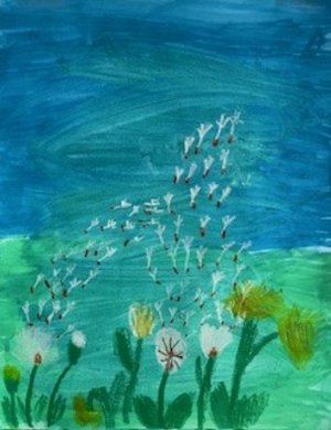 Blumen1